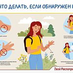 Несколько важных правил, которые помогут правильно действовать при обнаружении укуса
