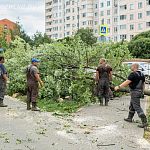 На ул. Победы началась вырубка деревьев