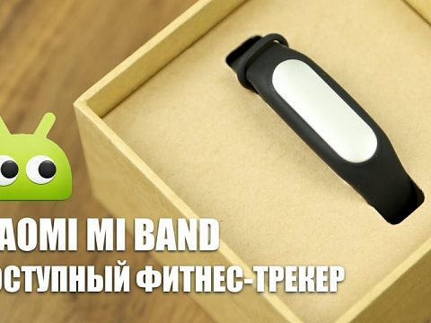 Monopod Market — Краснознаменск