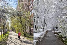 Конец апреля в прошлом году и в этом