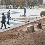 Ёлочки у Дома офицеров — всё
