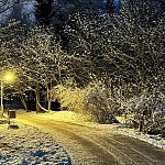 Вечер в Городском парке