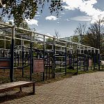 Развлечения старого озера