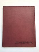 Дневник школьника в прорезиненной обложке премиум класса 