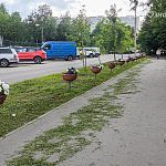 Вот такие кашпо с цветами появились в разных местах города