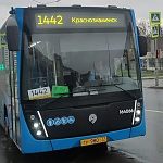 Проблема остается с 1442 автобусом