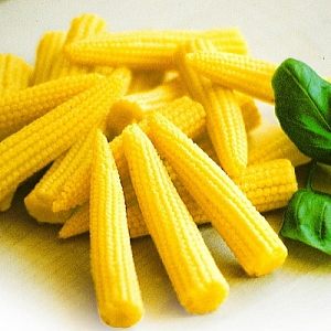 Мини кукуруза