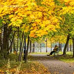 Осенние краски города — Краснознаменск