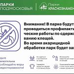 Акарицидная обработка в парках Краснознаменска