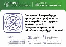 Акарицидная обработка в парках Краснознаменска