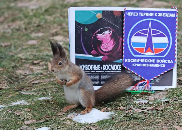 Белочки поздравляют с Днём Космонавтики
