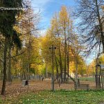 Прогулка по Беличьему парку — Краснознаменск