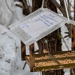 Вот такую кормушку с письмом от птиц, можно увидеть в городском парке)