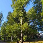 Прогулка по Городскому парку