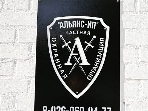 ООО ЧОО АЛЬЯНС-ИП — Краснознаменск