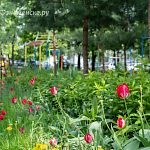 Идешь по городу - глаз радуется =)