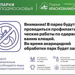 Акарицидная обработка в парках Краснознаменска 