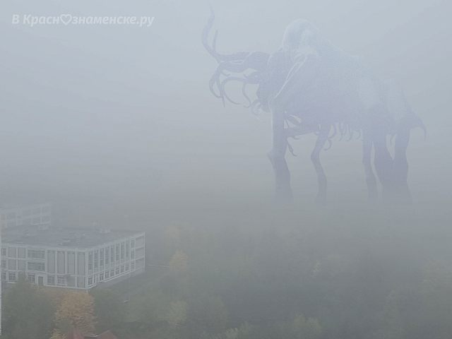 Доброе утро