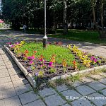 На Комсомольском бульваре высадили цветы, однако, унылый и потрёпанный вид бульвара все портит