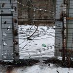 Для не равнодушных к проблеме, на Березовой аллее у ворот парка