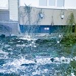 Варварство! на Гагарина 13, 1 подъезд