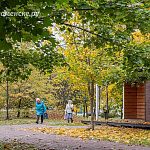Скоро город окрасится в яркие цвета осени — Краснознаменск