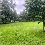 Альпийские луга Краснознаменска