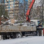 Кажется, не зря у нас вырубают сухие деревья — ни одно из них еще не упало при таком ветре, в отличие от Москвы