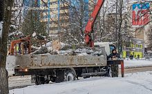 Кажется, не зря у нас вырубают сухие деревья — ни одно из них еще не упало при таком ветре, в отличие от Москвы