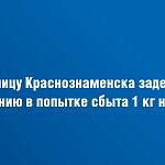 Жительницу Краснознаменска задержали по подозрению в попытке сбыта 1 кг наркотиков