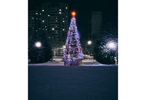 Звезда на елиНочь | Зима 25Молодежная 6