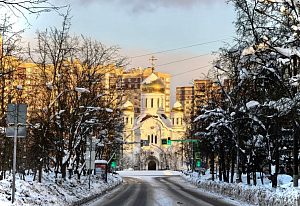 Под солнечным февральским небом