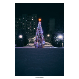 Звезда на елиНочь | Зима 25Молодежная 6