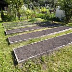 Продам, 70 кв.м, 6 соток, Отдельный дом — Краснознаменск