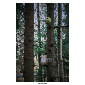 Мистические лесные жертвоприношения 2День | Осен