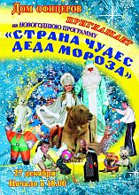 Новогоднее представление "Страна чудес Деда Мороза"