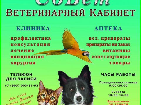 Ветеринарный кабинет СоВет — Краснознаменск