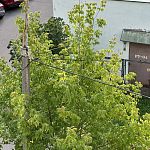 Краснознаменский «Добродел»