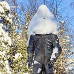 Когда так морозно, что даже памятники кутаются с головой