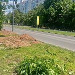 Со слов рабочих, в районе Победы 22 в ближайшее время появится новая остановка