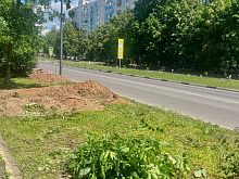 Со слов рабочих, в районе Победы 22 в ближайшее время появится новая остановка