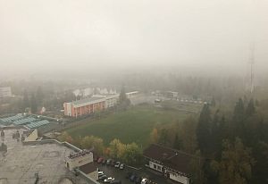 Атмосферное туманное утро