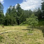 Продам, 6 соток, Садовый — Краснознаменск