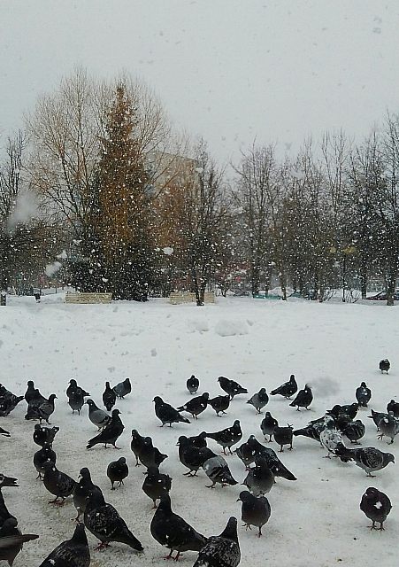 Шло 51 февраля...