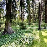 Продам, 261 кв.м, 6 соток, Отдельный дом — Краснознаменск