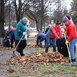 Уборка листвы и мусора с газонов 
