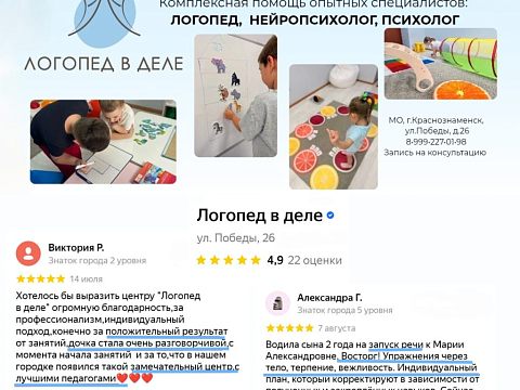 «Логопед в деле» коррекционно-развивающий центр  — Краснознаменск