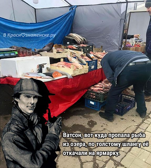 Куда пропала рыба из озера