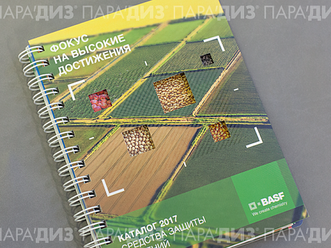 Типография «Парадиз» — Краснознаменск