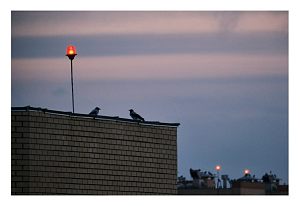 Любить — это не значит смотреть друг на друга...